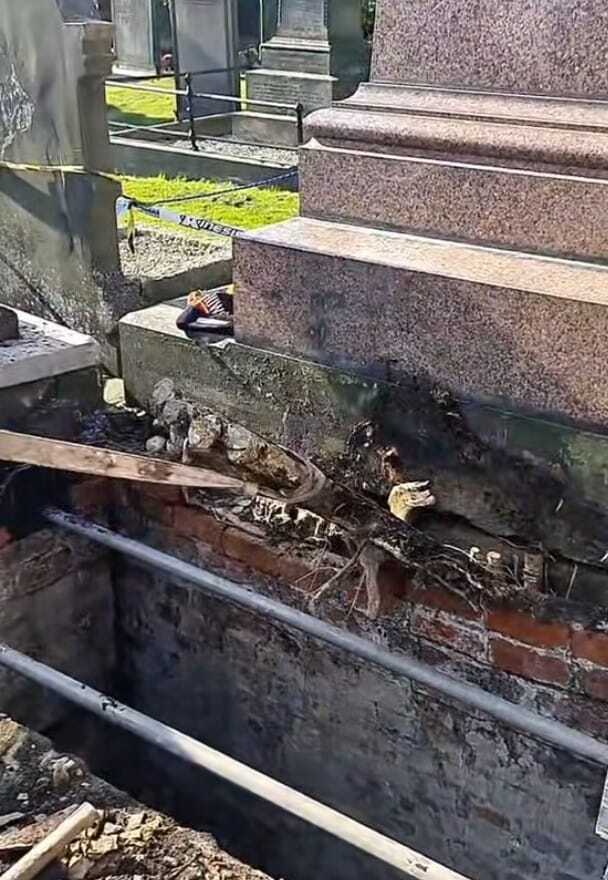 The tree root was exposed